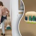 As donas de casa foram instadas a tratar as s