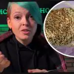 Como escolher plantas de sidra e surpreender os seus vizinhos com uma colheita: um jardineiro deu dicas eficazes Como escolher plantas de sidra e surpreender os seus vizinhos