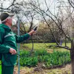 Jardineiros sábios pulverizaram o jardim com um único produto: nem