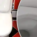 Um simples truque para a casa de banho cheirar a hotel antes da chegada dos hóspedes Um simples truque para a casa de banho cheirar a