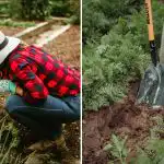 Como perceber que o solo do seu jardim está a