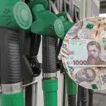 Os segredos da economia de combustível: o consumo de gasolina e gasóleo vai baixar diante dos seus olhos Os segredos da economia de combustível: o consumo de gasolina